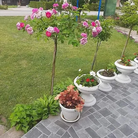 Apartment Sobe Isic