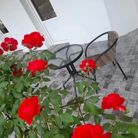 Sobe Isic Apartment Veliko Gradiste